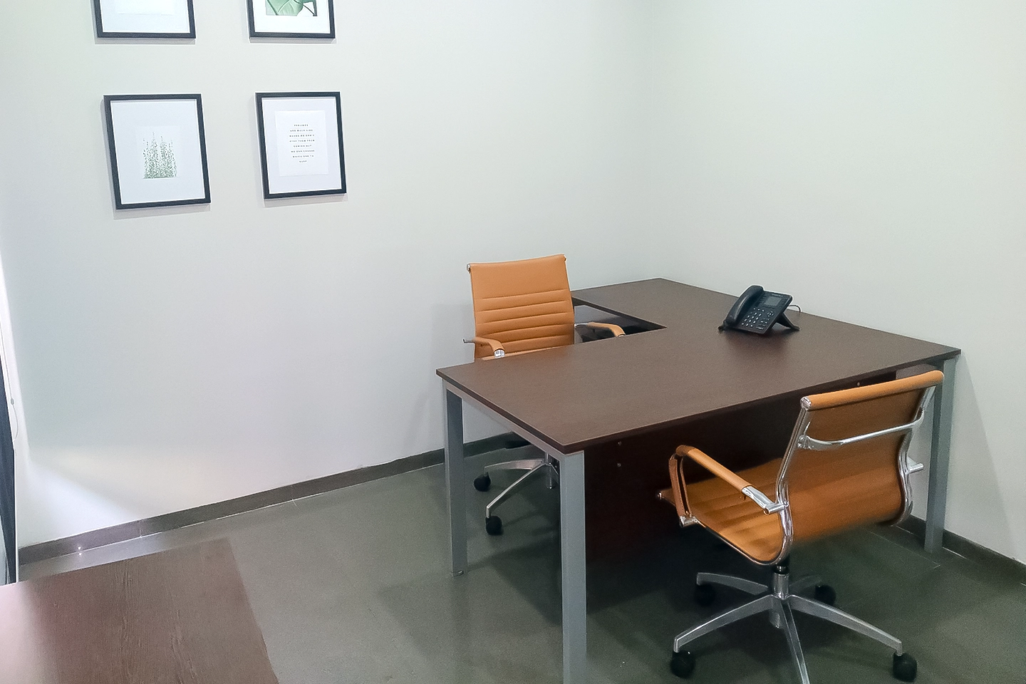 Executive Office-2